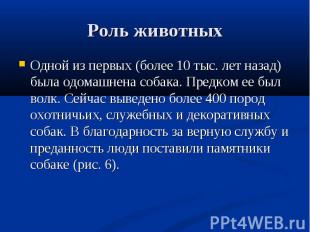 Одной из первых (более 10 тыс. лет назад) была одомашнена собака. Предком ее был