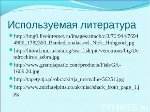 http://img0.liveinternet.ru/images/attach/c/3/76/944/76944906_1782350_Banded_sna