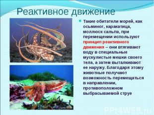 Такие обитатели морей, как осьминог, каракатица, моллюск сальпа, при перемещении