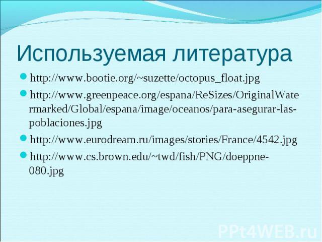http://www.bootie.org/~suzette/octopus_float.jpg http://www.bootie.org/~suzette/octopus_float.jpg http://www.greenpeace.org/espana/ReSizes/OriginalWatermarked/Global/espana/image/oceanos/para-asegurar-las-poblaciones.jpg http://www.eurodream.ru/imag…
