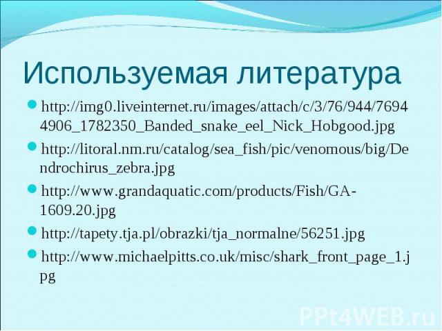 http://img0.liveinternet.ru/images/attach/c/3/76/944/76944906_1782350_Banded_snake_eel_Nick_Hobgood.jpg http://img0.liveinternet.ru/images/attach/c/3/76/944/76944906_1782350_Banded_snake_eel_Nick_Hobgood.jpg http://litoral.nm.ru/catalog/sea_fish/pic…