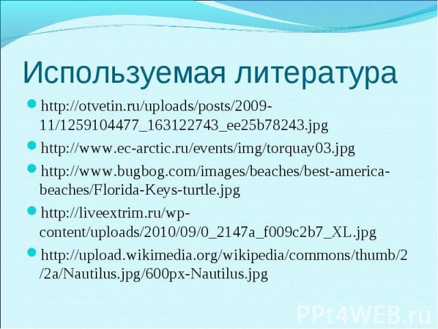 http://otvetin.ru/uploads/posts/2009-11/1259104477_163122743_ee25b78243.jpg http://otvetin.ru/uploads/posts/2009-11/1259104477_163122743_ee25b78243.jpg http://www.ec-arctic.ru/events/img/torquay03.jpg http://www.bugbog.com/images/beaches/best-americ…