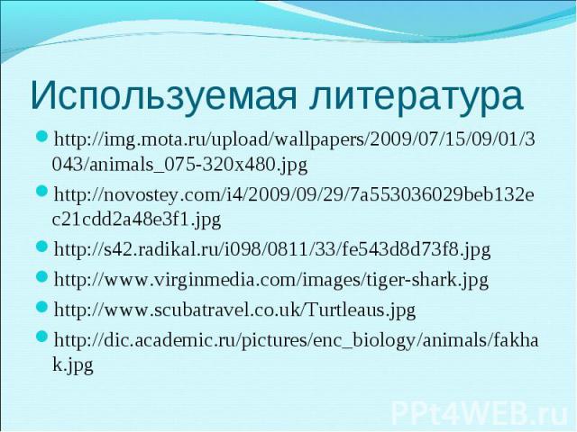http://img.mota.ru/upload/wallpapers/2009/07/15/09/01/3043/animals_075-320x480.jpg http://img.mota.ru/upload/wallpapers/2009/07/15/09/01/3043/animals_075-320x480.jpg http://novostey.com/i4/2009/09/29/7a553036029beb132ec21cdd2a48e3f1.jpg http://s42.r…