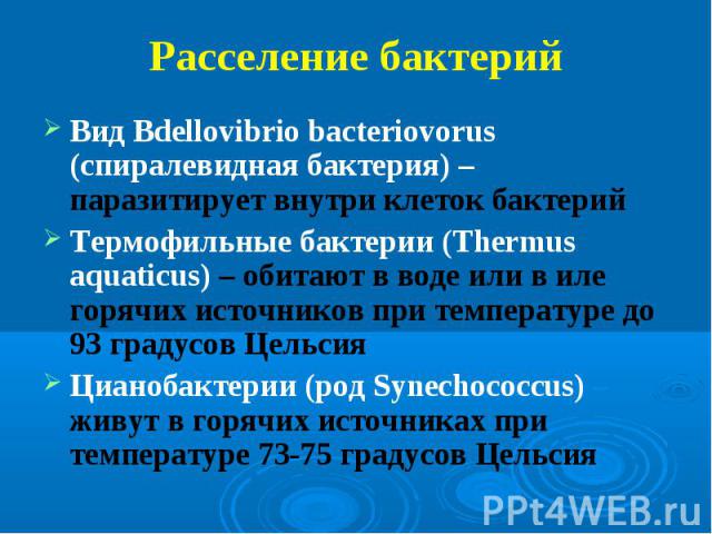 Вид Bdellovibrio bacteriovorus (спиралевидная бактерия) – паразитирует внутри клеток бактерий Вид Bdellovibrio bacteriovorus (спиралевидная бактерия) – паразитирует внутри клеток бактерий Термофильные бактерии (Thermus aquaticus) – обитают в воде ил…