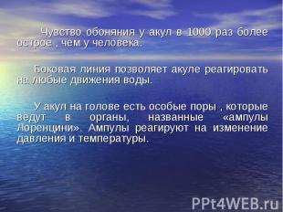 &nbsp; Чувство обоняния у акул в 1000 раз более острое , чем у человека. &nbsp;