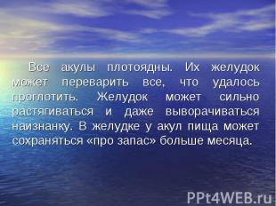 Все акулы плотоядны. Их желудок может переварить все, что удалось проглотить. Же