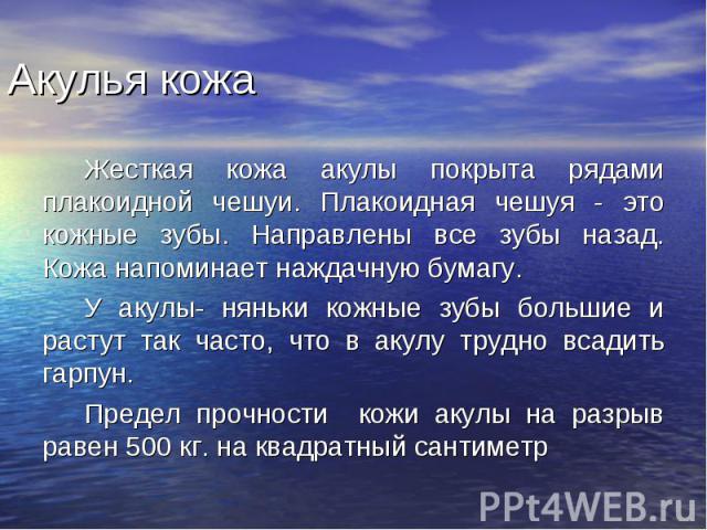 Жесткая кожа акулы покрыта рядами плакоидной чешуи. Плакоидная чешуя - это кожные зубы. Направлены все зубы назад. Кожа напоминает наждачную бумагу. Жесткая кожа акулы покрыта рядами плакоидной чешуи. Плакоидная чешуя - это кожные зубы. Направлены в…