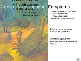 Силур. Ракоскорпион Eurypterus.