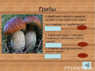 Грибы Какой гриб считается одним из лучших по вкусовым качествам и часто именует