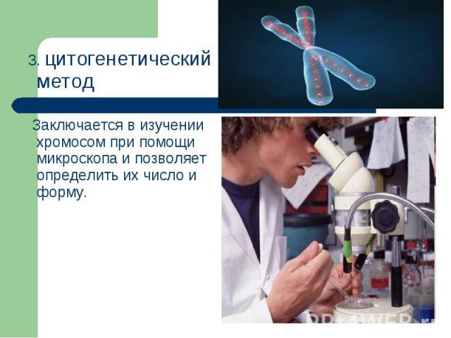 3. цитогенетический метод 3. цитогенетический метод Заключается в изучении хромосом при помощи микроскопа и позволяет определить их число и форму.