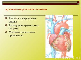 сердечно-сосудистая система Жировое перерождение сердца Расширение кровеносных с
