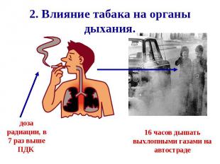 2. Влияние табака на органы дыхания.