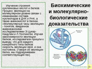 Биохимические и молекулярно-биологические доказательства Изучение строения нукле