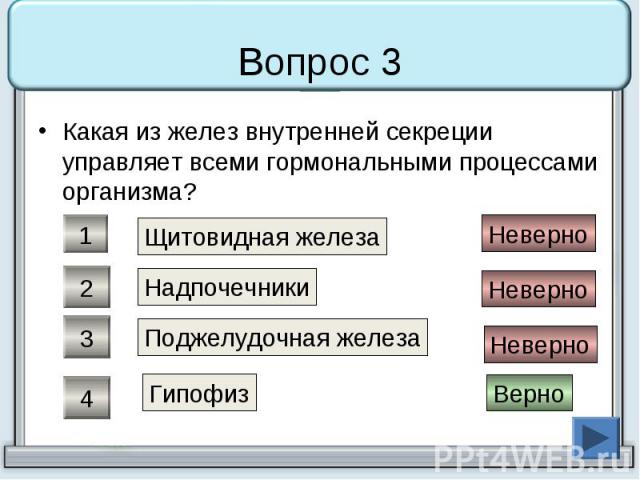 Вопрос 3 Какая из желез внутренней секреции управляет всеми гормональными процессами организма?