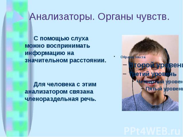 Анализаторы. Органы чувств. С помощью слуха можно воспринимать информацию на значительном расстоянии. Для человека с этим анализатором связана членораздельная речь.