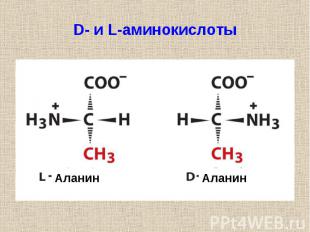 D- и L-аминокислоты