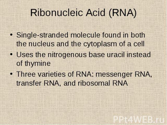 Single-stranded molecule found in both the nucleus and the cytoplasm of a cell Single-stranded molecule found in both the nucleus and the cytoplasm of a cell Uses the nitrogenous base uracil instead of thymine Three varieties of RNA: messenger RNA, …