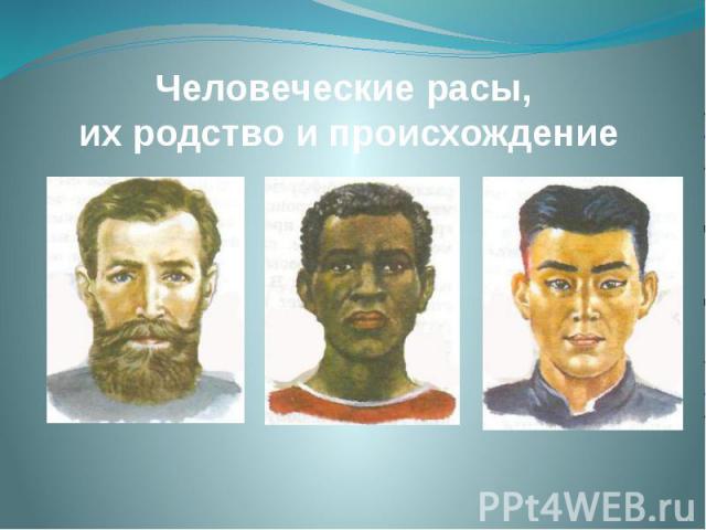 Адаптации рас человека. Представители разных рас. Расы человека картинки. 4 Расы людей. Виды рас человека.