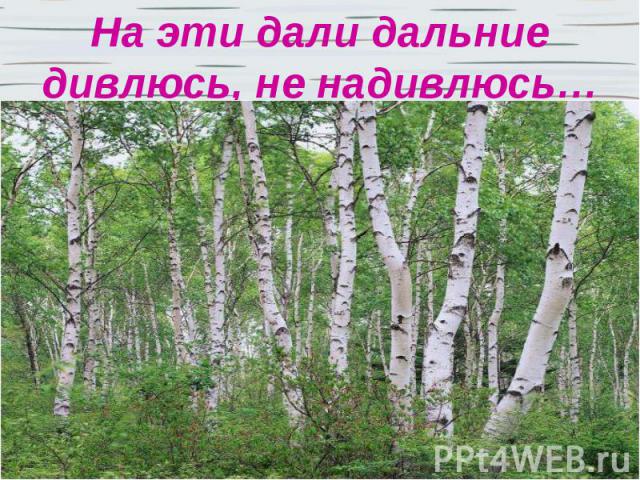 На эти дали дальние дивлюсь, не надивлюсь…