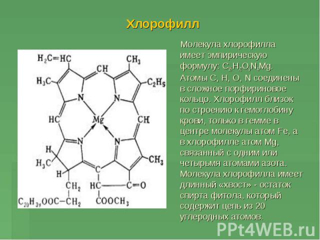 Хлорофилл Молекула хлорофилла имеет эмпирическую формулу: С55Н72О5N4Мg. Атомы С, Н, О, N соединены в сложное порфириновое кольцо. Хлорофилл близок по строению к гемоглобину крови, только в гемме в центре молекулы атом Fe, а в хлорофилле атом Мg, свя…