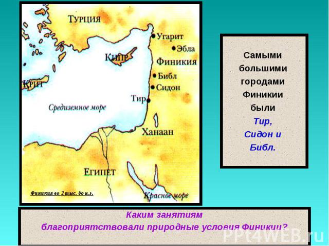 Самыми большими городами Финикии были Тир, Сидон и Библ.