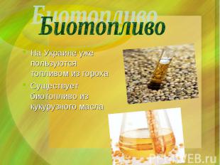 На Украине уже пользуются топливом из гороха Существует биотопливо из кукурузног