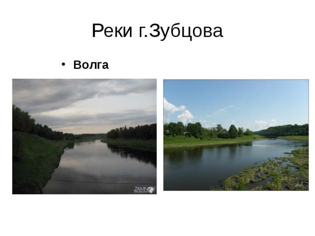 Реки г.Зубцова Волга