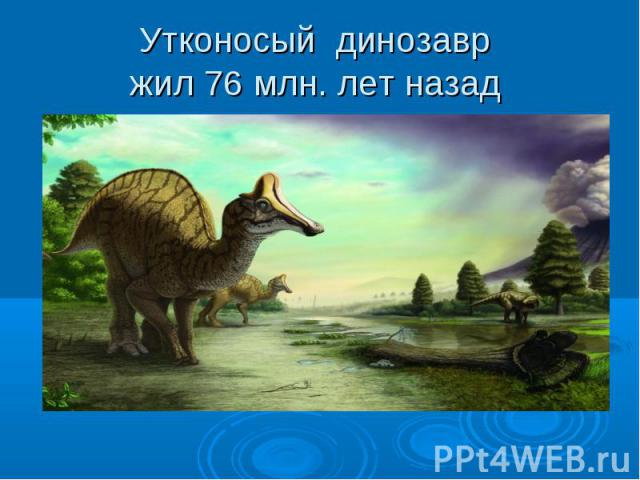 Утконосый динозавр жил 76 млн. лет назад