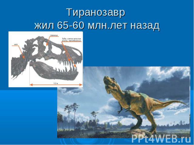 Тиранозавр жил 65-60 млн.лет назад