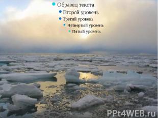 Сибирское море