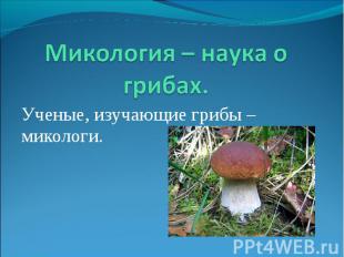 Ученые, изучающие грибы – микологи. Ученые, изучающие грибы – микологи.