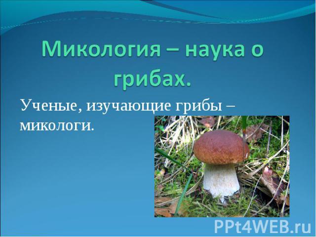 Ученые, изучающие грибы – микологи. Ученые, изучающие грибы – микологи.
