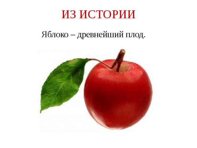ИЗ ИСТОРИИ Яблоко – древнейший плод.