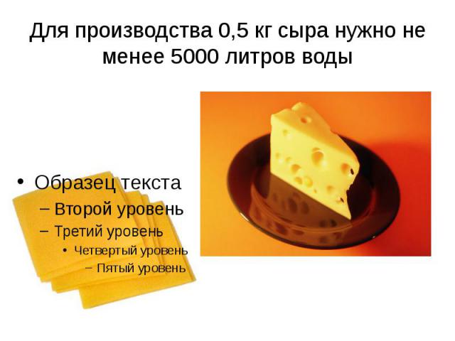 Для производства 0,5 кг сыра нужно не менее 5000 литров воды
