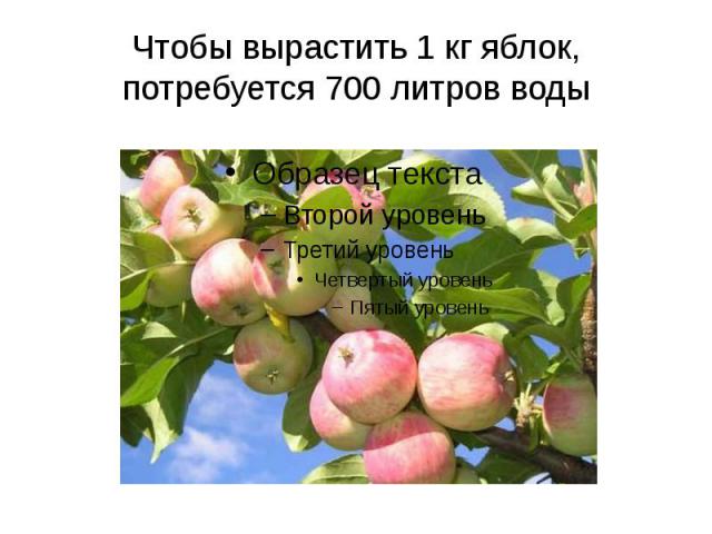 Чтобы вырастить 1 кг яблок, потребуется 700 литров воды