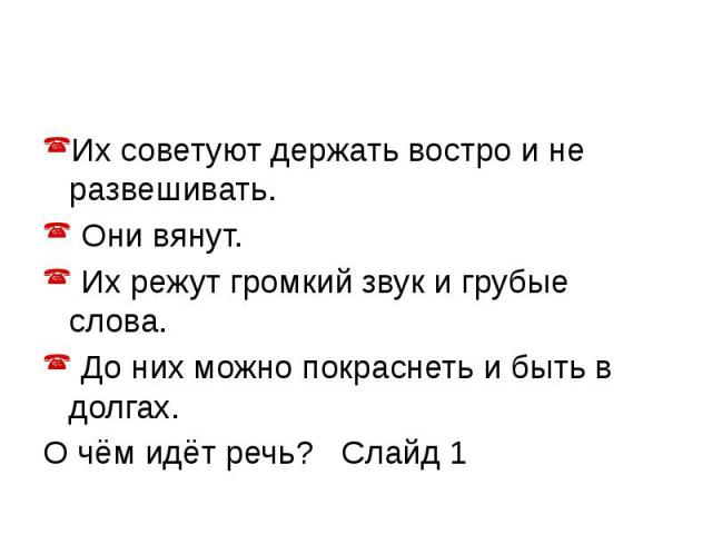 Их советуют держать востро и не развешивать. Они вянут. Их режут громкий звук и грубые слова. До них можно покраснеть и быть в долгах. О чём идёт речь? Слайд 1