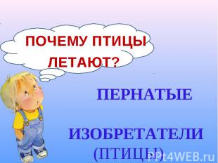 ПОЧЕМУ ПТИЦЫ ПОЧЕМУ ПТИЦЫ ЛЕТАЮТ?