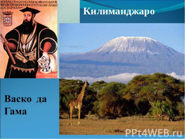 Килиманджаро Килиманджаро