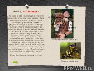 Команда «Саламандры» В романе «Война с саламандрами» чешского писателя К.Чапека