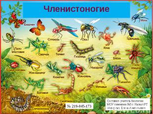 Составил: учитель биологии МОУ гимназии №5 города Кызыла Республики Тыва Мизерны