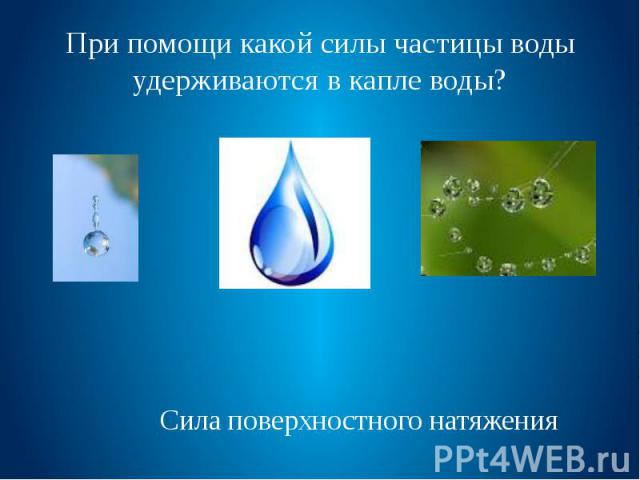При помощи какой силы частицы воды удерживаются в капле воды?