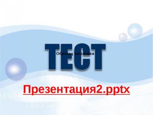 Презентация2.pptx