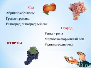 Сад Сад Абрикос-абрикосы Гранат-гранаты Виноград-виноградный сок