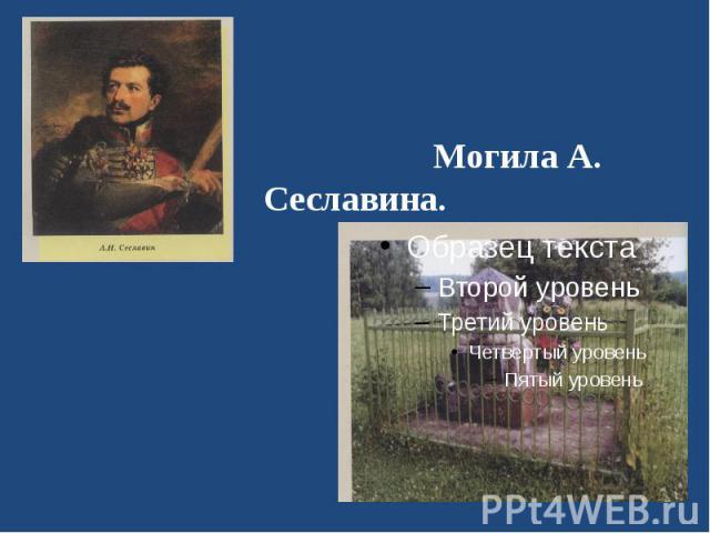 Могила А. Сеславина.