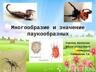 Многообразие и значение паукообразных Учитель биологии МБОУ «СОШ №97» г.Кемерово