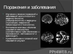 Изучение и лечение поражений и заболеваний мозга относится к ведению биологии (н