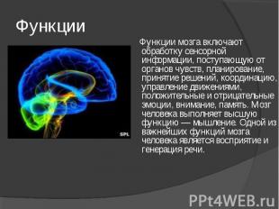 Функции мозга включают обработку сенсорной информации, поступающую от органов чу