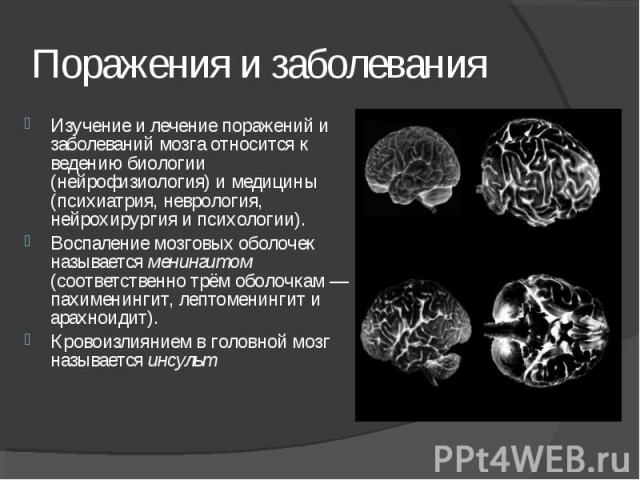 Изучение и лечение поражений и заболеваний мозга относится к ведению биологии (нейрофизиология) и медицины (психиатрия, неврология, нейрохирургия и психологии). Изучение и лечение поражений и заболеваний мозга относится к ведению биологии (нейрофизи…