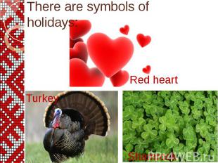 Turkey Turkey