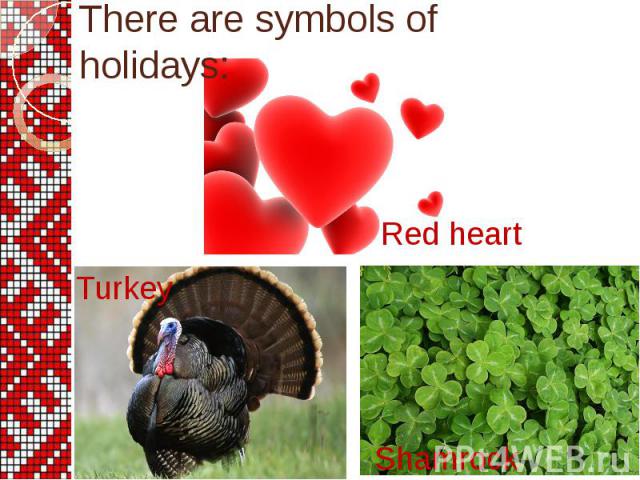 Turkey Turkey